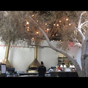 Meet your Posher, Lily